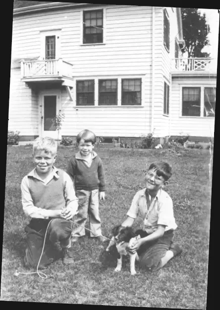 A photograph of three boys and a dog in the backyard.