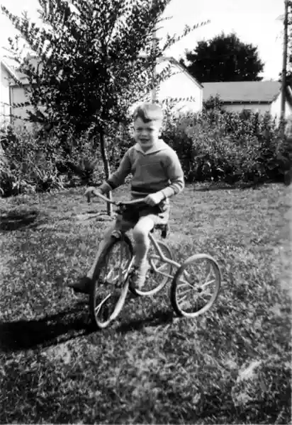 A photograph of a boy riding a tricycle in the back yard.