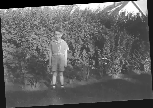 A photograph of a six year old boy standing in the backyard.